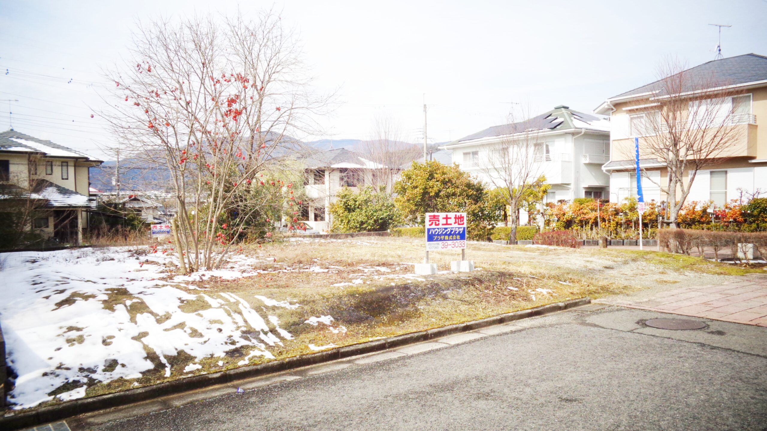 小峰台売り土地南側より